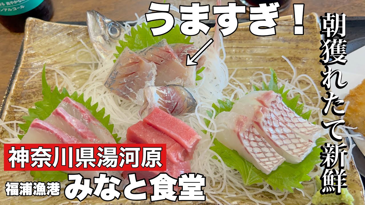 【湯河原】本日獲れたての刺身定食が食べられる場所がウマすぎた！〔福浦漁港 みなと食堂〕