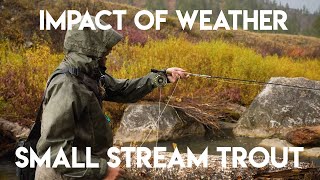 Impact of Weather on Small Stream Fishing screenshot 2