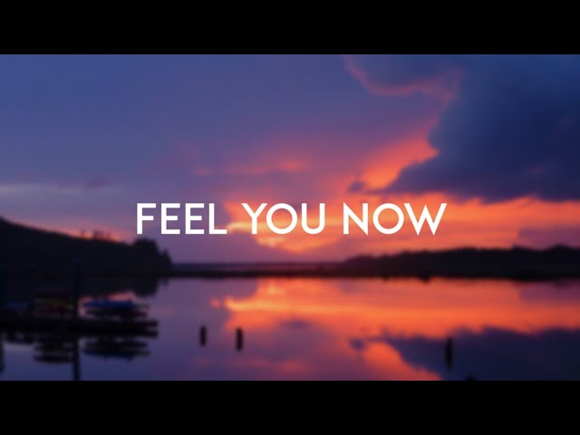 Feel You Now (Traducción al Español) – THE DRIVER ERA