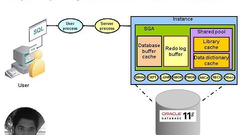 Chp 1 Exploring the Oracle Database Architecture   Urdu/Hindi