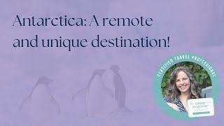 Antarctica Travel Guide: Best Time to Visit, Wildlife & Must-Do Adventures!
