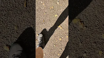 Come capire se un oggetto è di avorio?