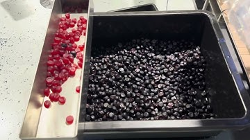 Smart Gummy Sorting with VMek Abacus+ | Save Product, Reduce Waste