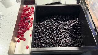 Smart Gummy Sorting with VMek Abacus+ | Save Product, Reduce Waste