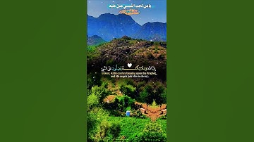 تلاوة خاشعة بصوت جميل ومؤثر يريح الأعصاب #elmulquranعلم #قران_كريم #تلاوة #اكسبلور #trend #لايك