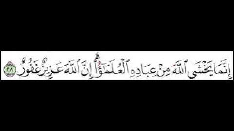 سورة فاطر الآية 28