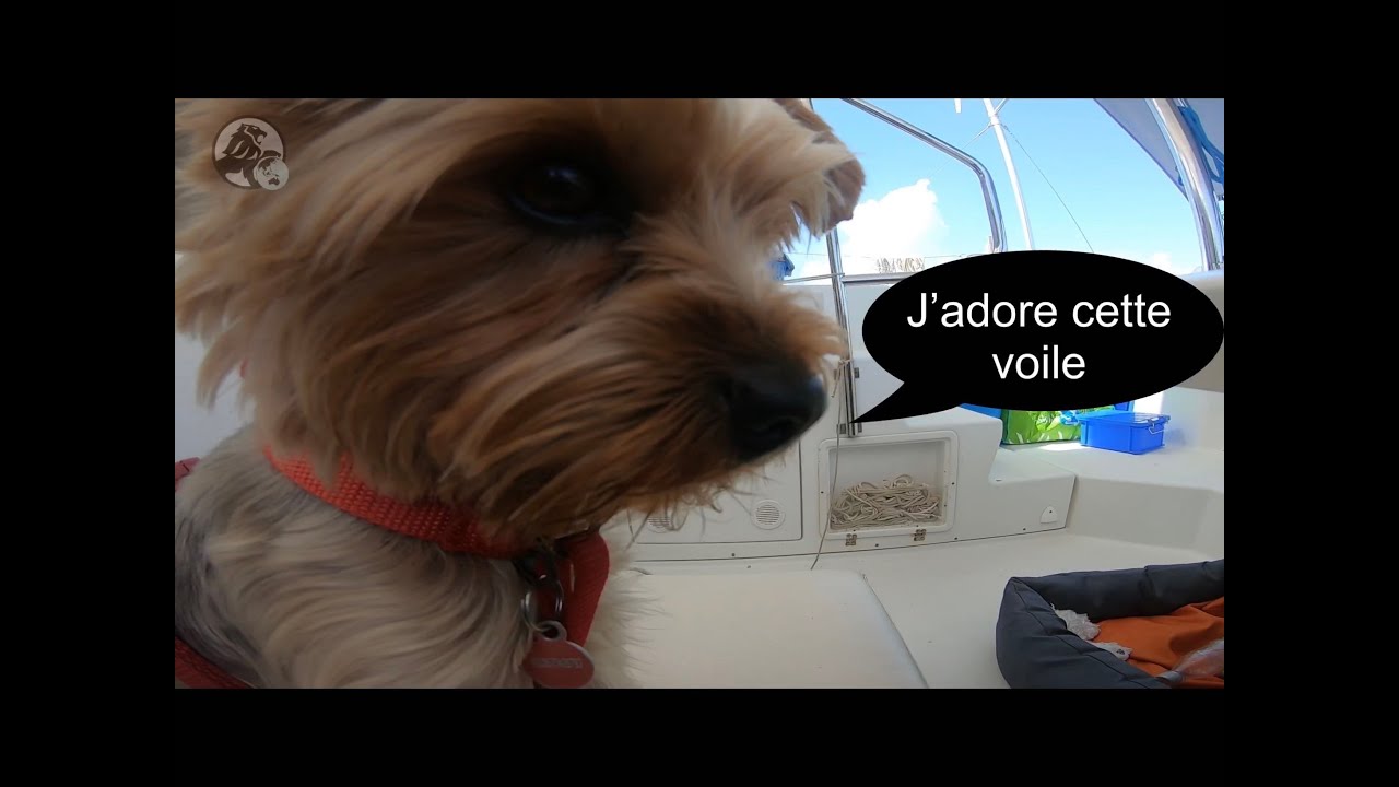 #114 Est ce que nous nous  ennuyons à bord de notre voilier? C’est à vous de juger⛵️My trip, my life