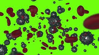 Virus Blood Cell Green screen Animation