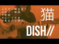 【弾き語り】猫/DISH//(カバー)【歌詞コード付き】