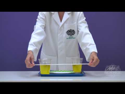 Stalactites and Stalagmites Experiment - Mad Science of West New Jersey