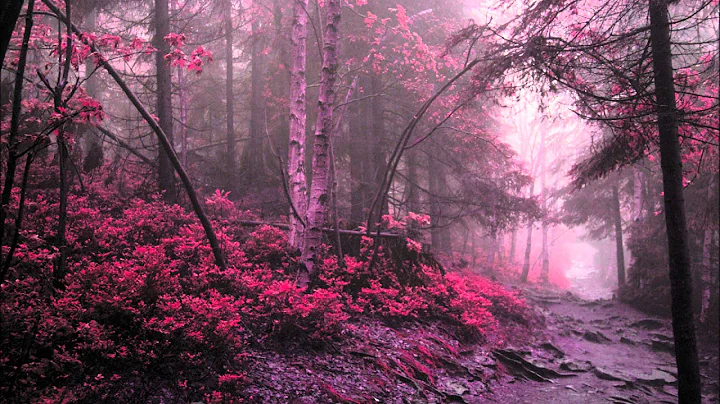 Richard Wagner -Rienzi- Overture