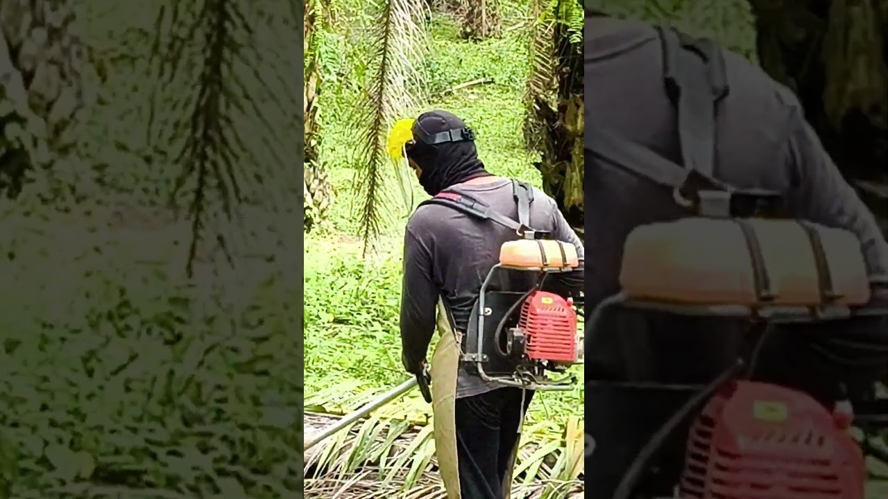 LINK PEMBELIAN DI RUANG KOMEN OGAWA BG430 