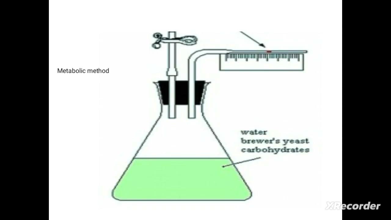 Bacterial growth measurement/ direct method/turbidity/spectrophotometry