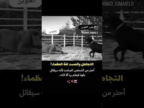 الصمت لغه العظماء