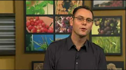 Emissions Trading Scheme - the truth