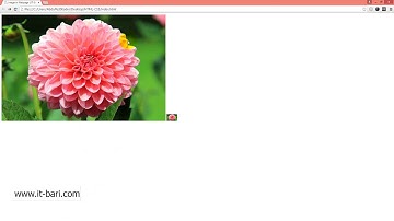 13  Width Height in Image  IT Bari com   Web Design Bangla Video Tutorial