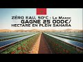 Maroc : Du désert à un jardin grâce à l'agrivoltaïsme 🌱