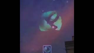 White_jungle.mp4