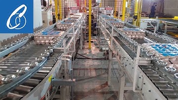 Automated Robot Palletizing System for Egg Producers