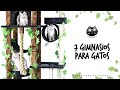 🙀😻 7 GIMNASIOS ESPECTACULARES para GATOS en amazon | Citymiau