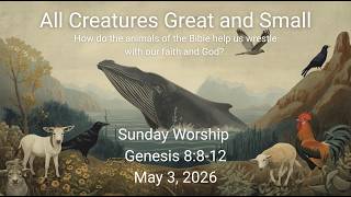 All Creatures Great and Small: The Messangers