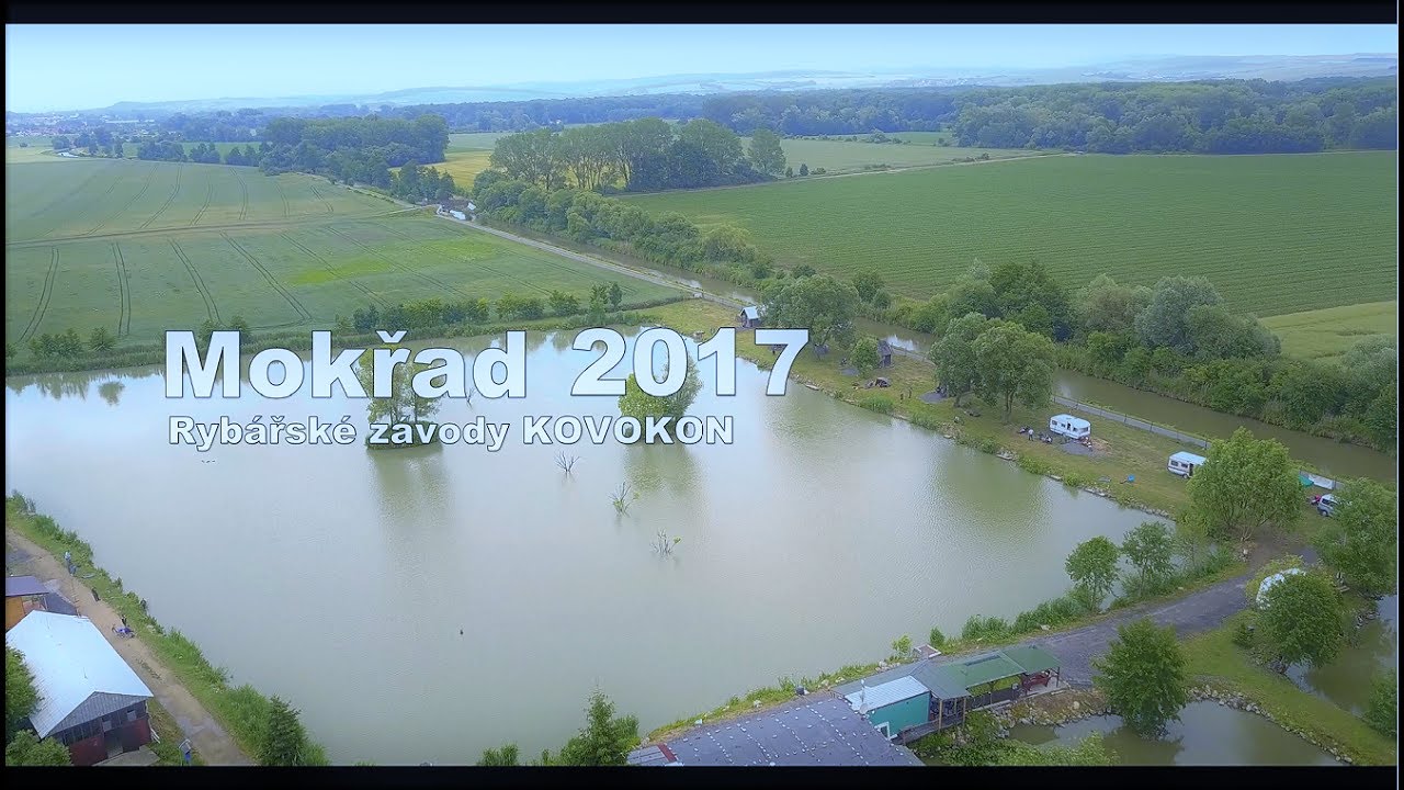 Mokřad 2017
