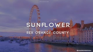 Rex Orange County - Sunflower (lyrics)