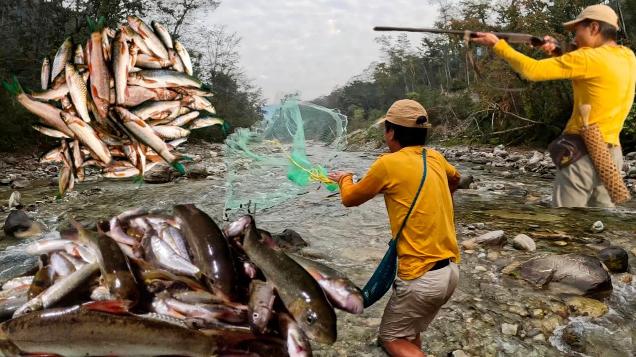 Night camping || Net Fishing || Fishing Video || Diversion Fishing || Arunachalpradesh.