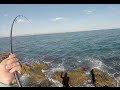 Flounder Fishing New England - August Road Trip