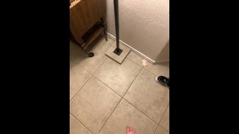 MAGICYOYO Professional Responsive Yoyo V3