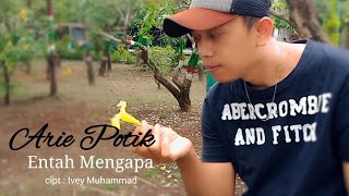 ARIE POTIK - Entah Mengapa ( Official music video)