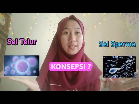 Video: Bagaimana untuk mengetahui konsepsi?