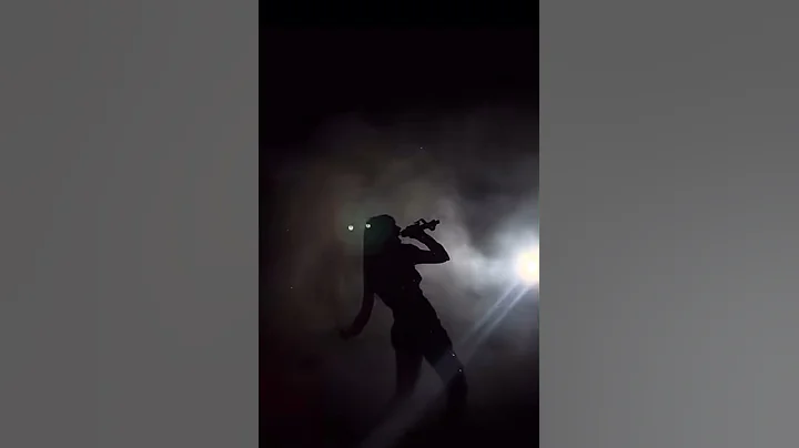 Don’t blame me high note Eras tour 🖤🖤