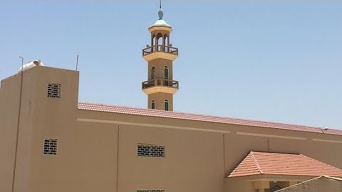 من تلاوات الصلاة ..ما تيسر من سورة القصص .. القارىء د. احمد بدوى