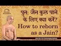 Re what to do to get jain clan how to be reborn as a jain