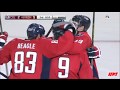Plays so Crazy they Fooled the Commentators, Goal Lights, or Goal Horns | NHL
