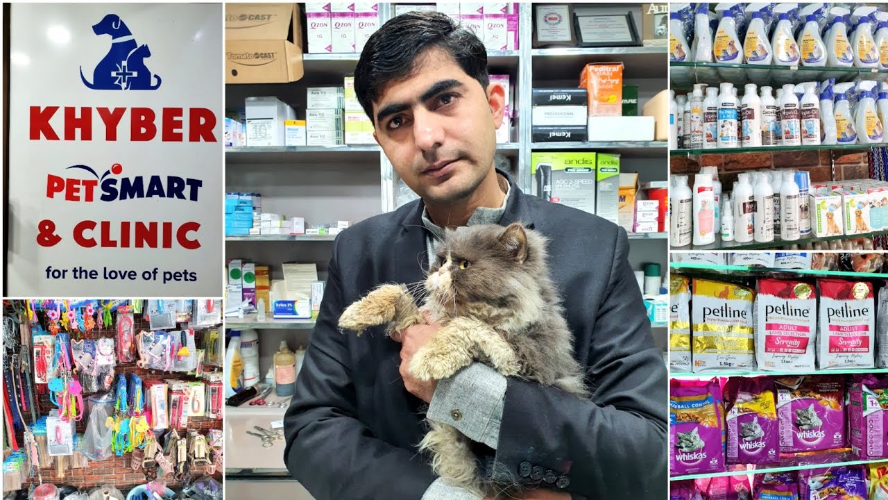 Visit At Khaber Pet Stor And Clinic In Lahore Cat Food,Dog Food
