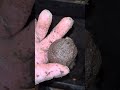Worm bin lazy feed