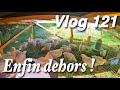 Premire sortie des poussins  enfin vlog 121