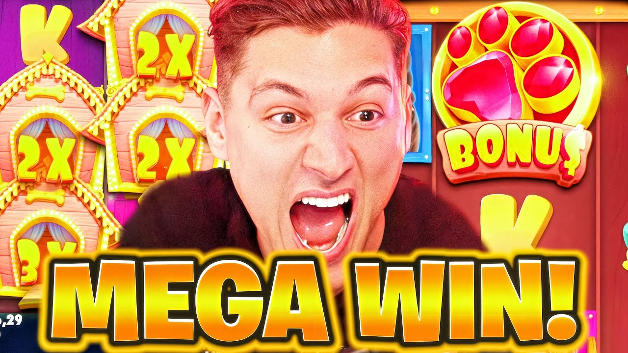 MEGA WIN in DOG HOUSE! 🤑 (Endlich Freispiele!)