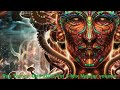 Psy Trance Goa 2023 Vol 5 Mix Master volume