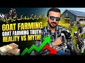 Goat Farming Business in Pakistan: Reality vs Myth! 🚫🐐 (Munafe Ka Asli Hisab)