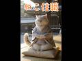 【#ねこ住職 第92話 人生にバッドエンディングは無いんだゆ！な？！の巻】