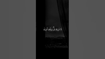 تلاوة خاشعة ومؤثرة بصوت ماهر المعيقلي 🤍