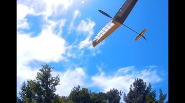 Micro Mini 29" DLG RC glider CG testing flight success