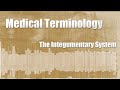 Medical Terminology Quiz