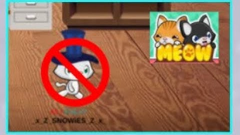 Meow Playground, but if I run the video ends