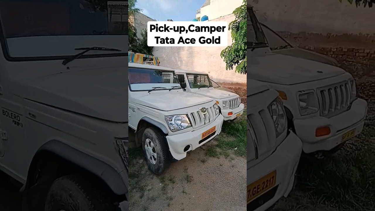 Pick-up,CamperTata Ace Gold 