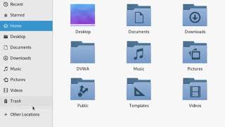Kali Linux DVWA