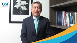 Corporación Excelencia en la Justicia - ¿Qué es la Asamblea Nacional Constituyente?
